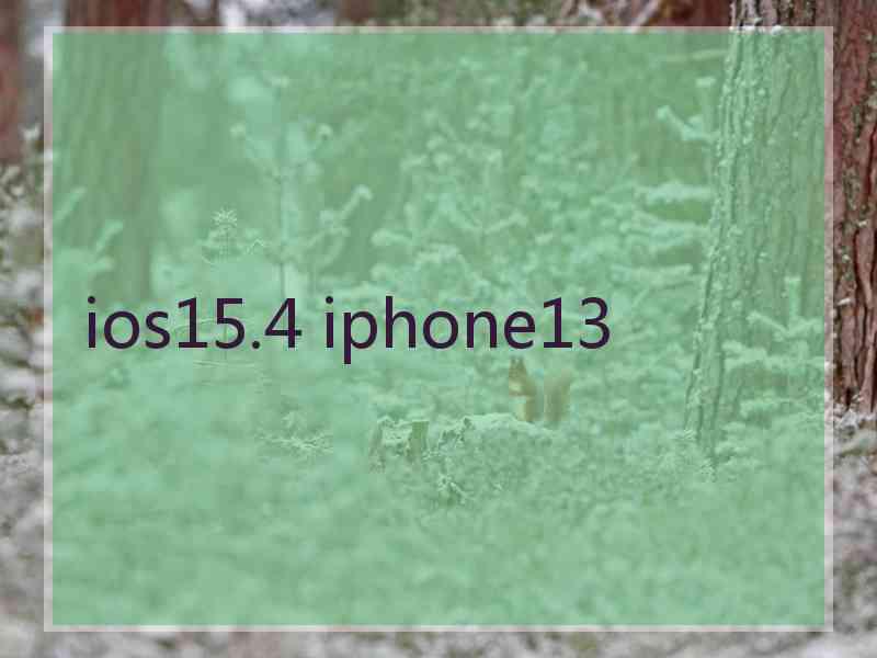 ios15.4 iphone13