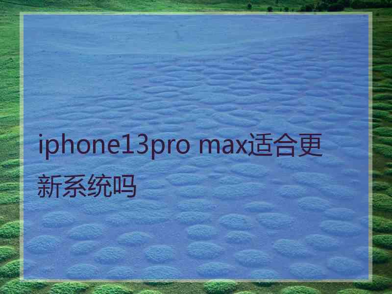 iphone13pro max适合更新系统吗