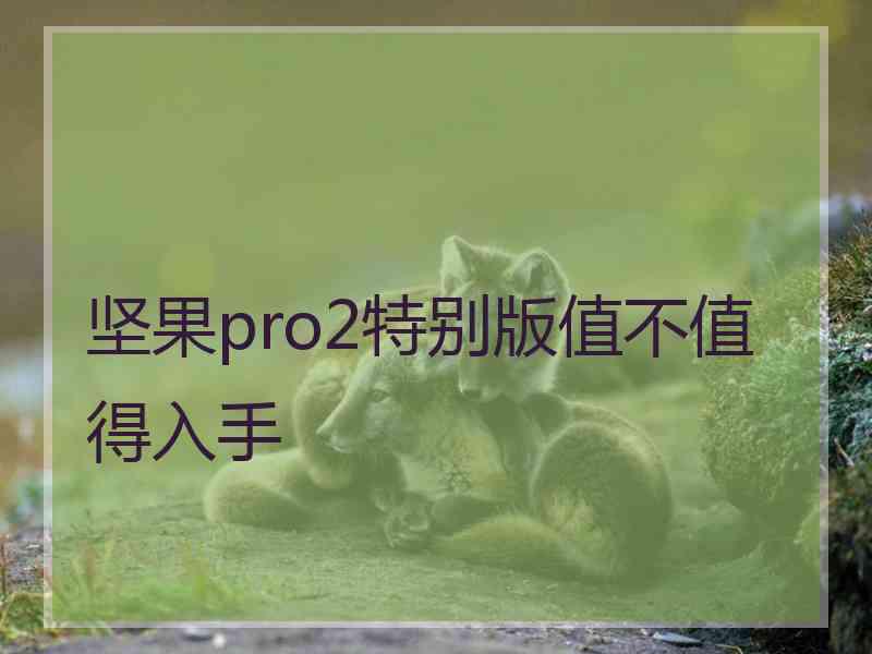 坚果pro2特别版值不值得入手