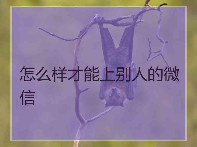 怎么样才能上别人的微信