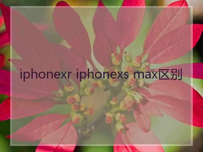 iphonexr iphonexs max区别