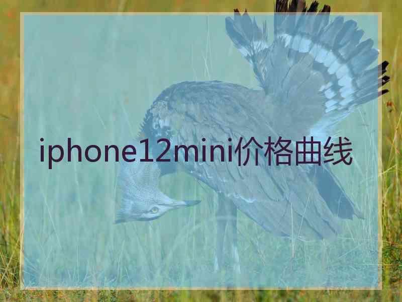 iphone12mini价格曲线