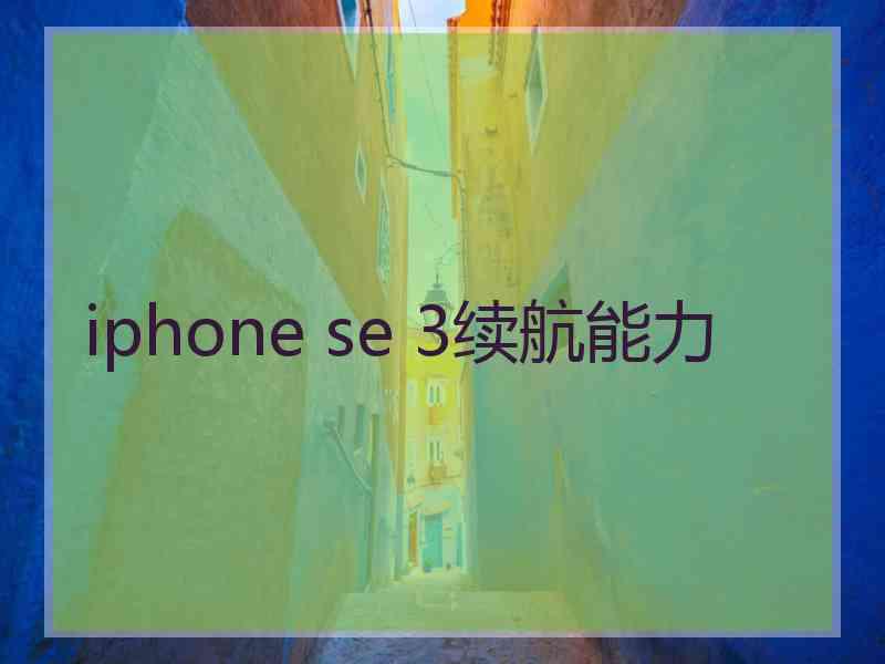 iphone se 3续航能力