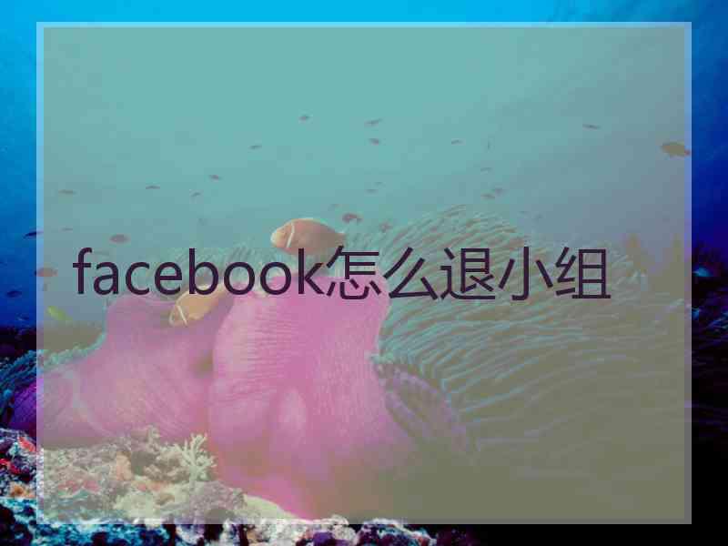 facebook怎么退小组