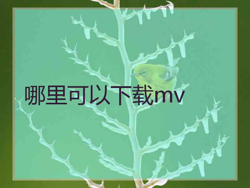 哪里可以下载mv