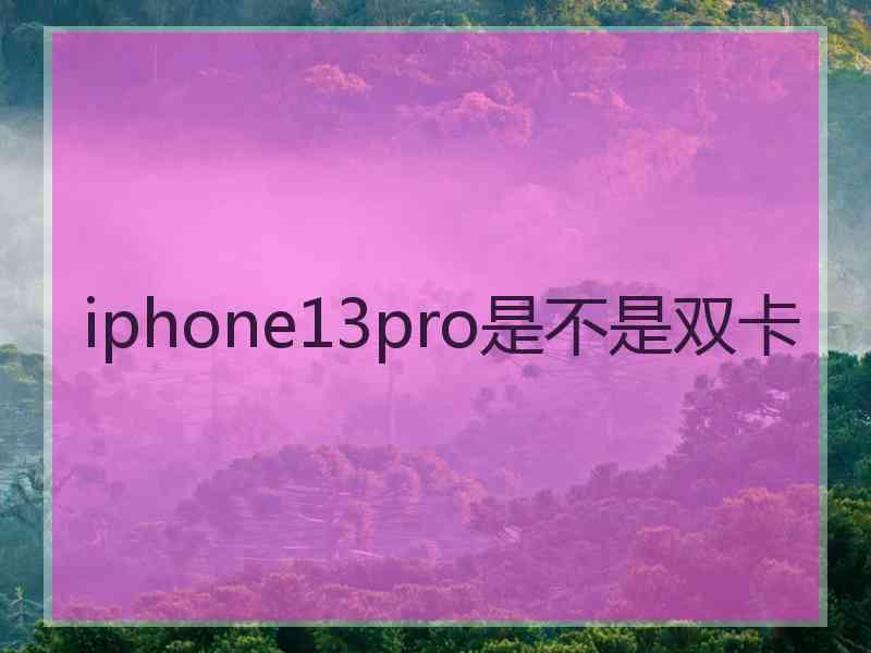 iphone13pro是不是双卡