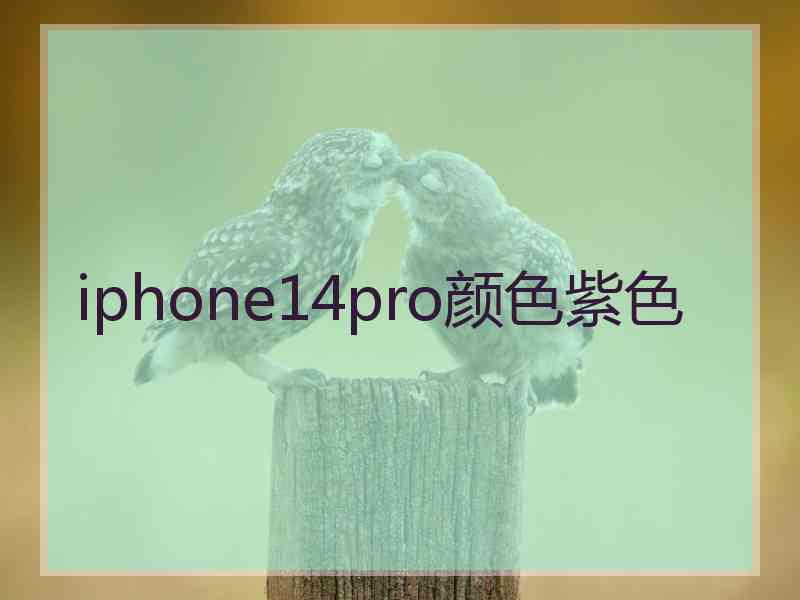 iphone14pro颜色紫色