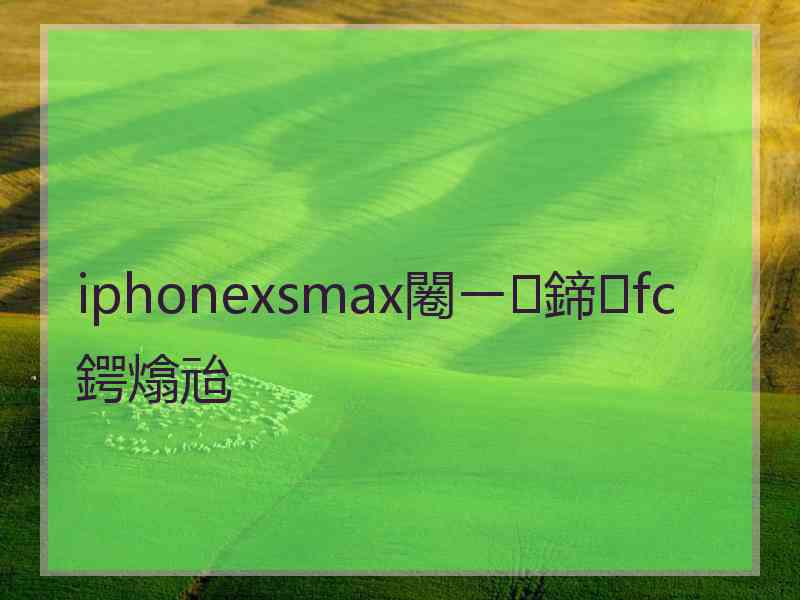 iphonexsmax闂ㄧ鍗fc鍔熻兘