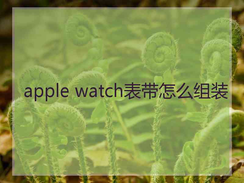 apple watch表带怎么组装