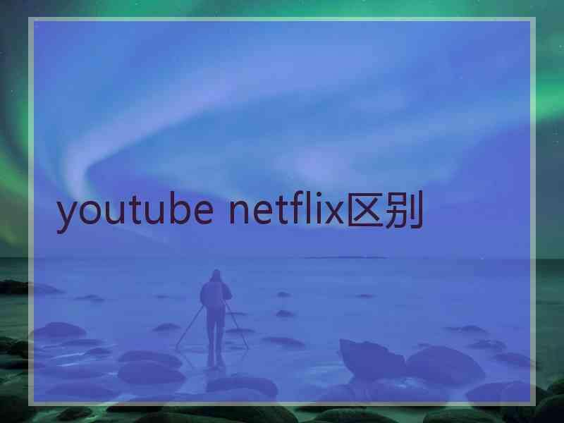 youtube netflix区别