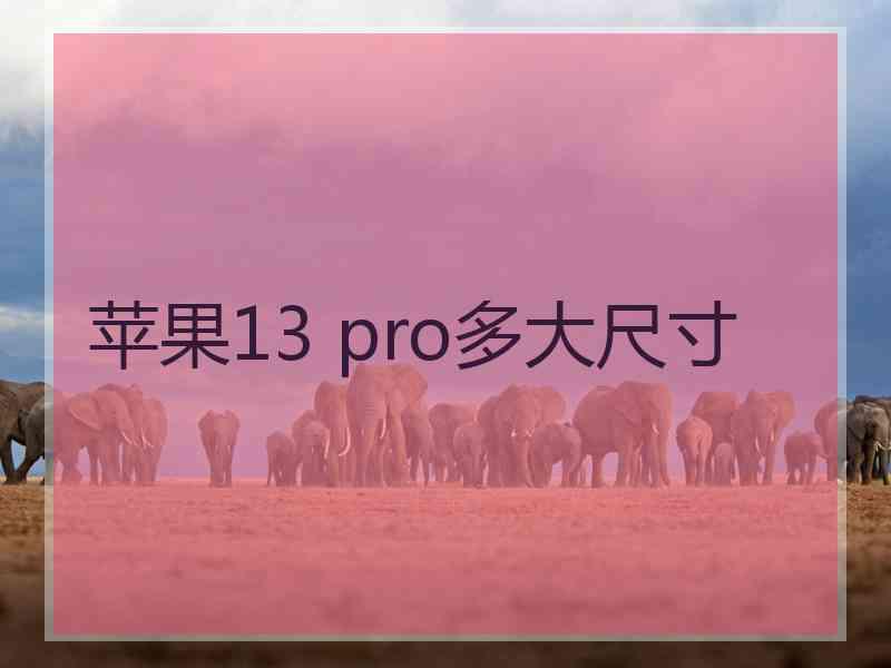 苹果13 pro多大尺寸