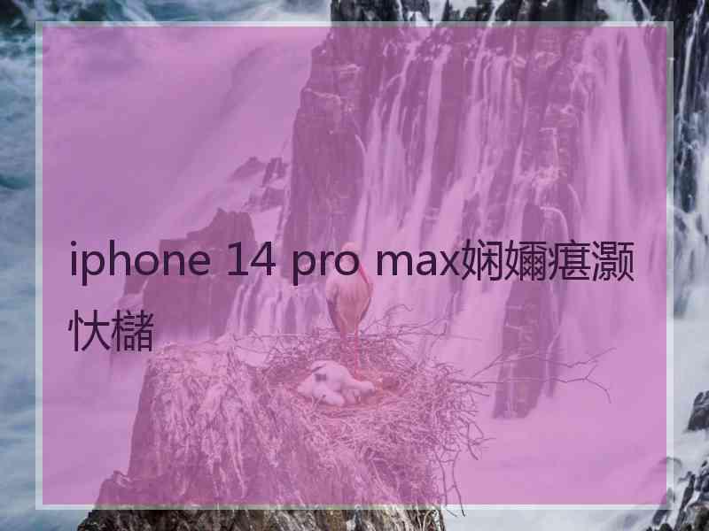 iphone 14 pro max娴嬭瘎灏忕櫧