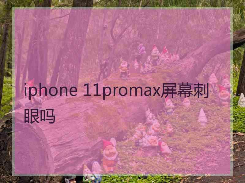 iphone 11promax屏幕刺眼吗