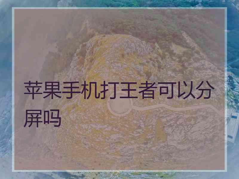 苹果手机打王者可以分屏吗