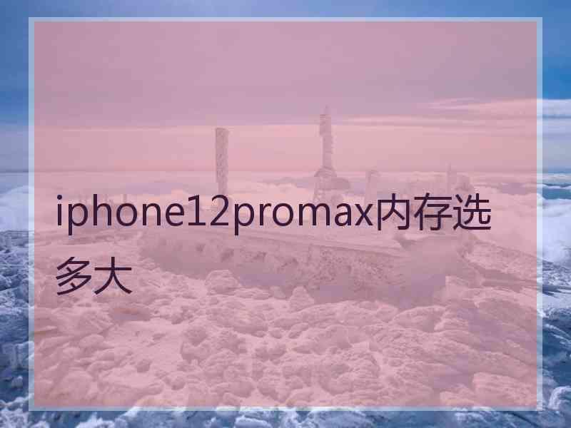 iphone12promax内存选多大