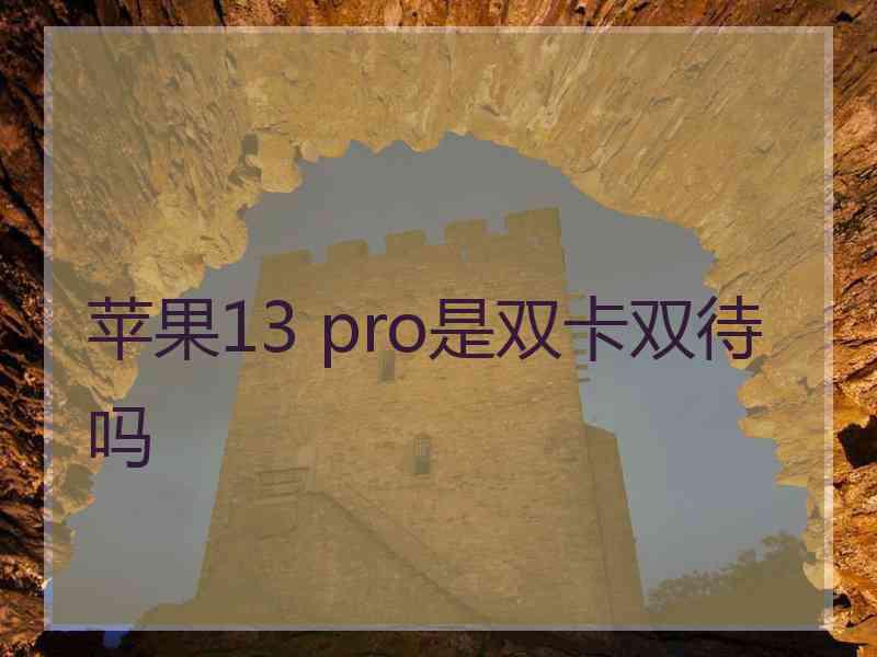 苹果13 pro是双卡双待吗