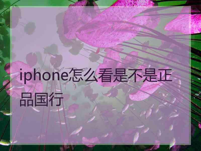 iphone怎么看是不是正品国行