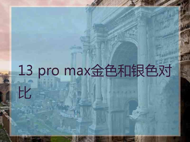 13 pro max金色和银色对比