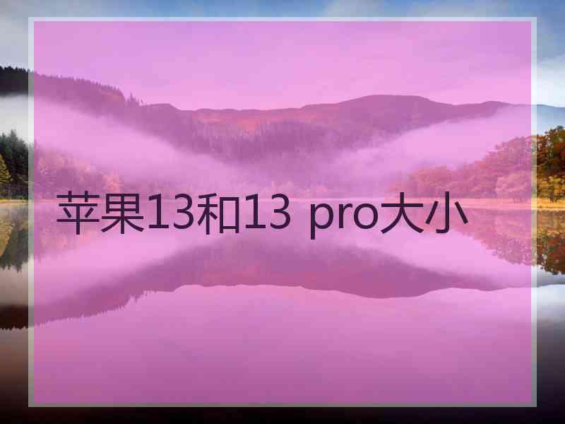 苹果13和13 pro大小