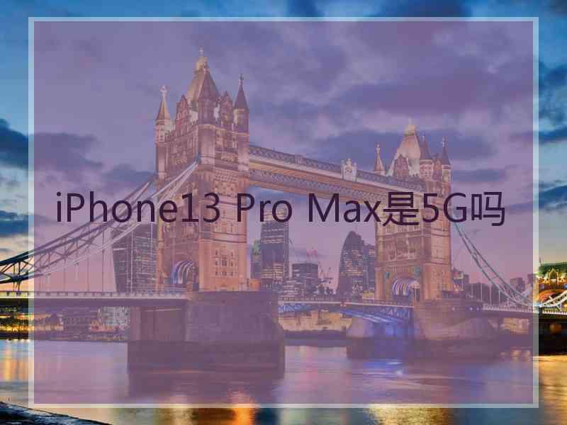 iPhone13 Pro Max是5G吗