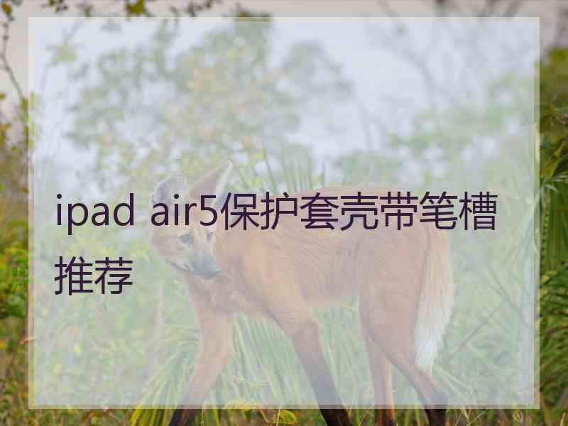 ipad air5保护套壳带笔槽推荐