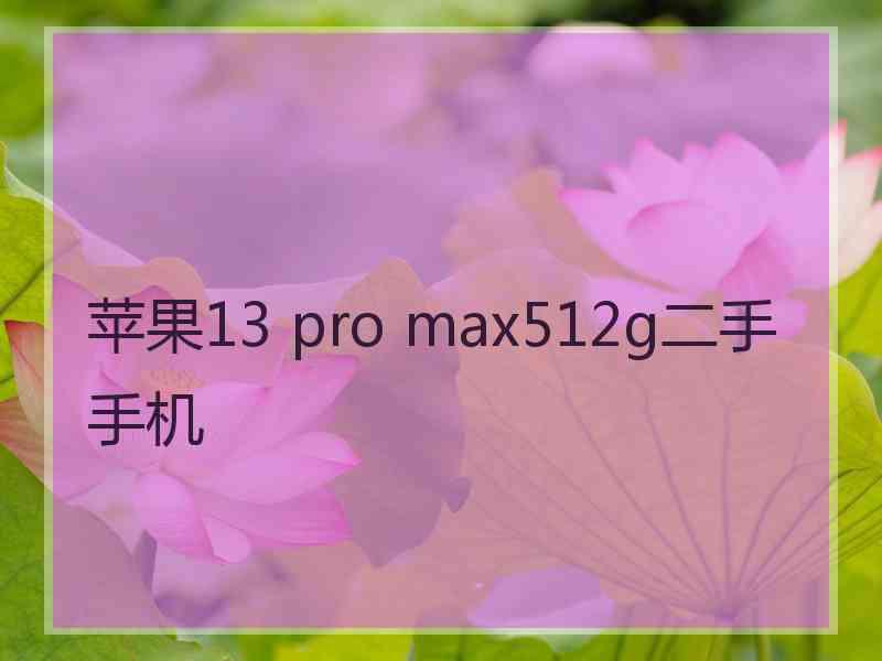 苹果13 pro max512g二手手机