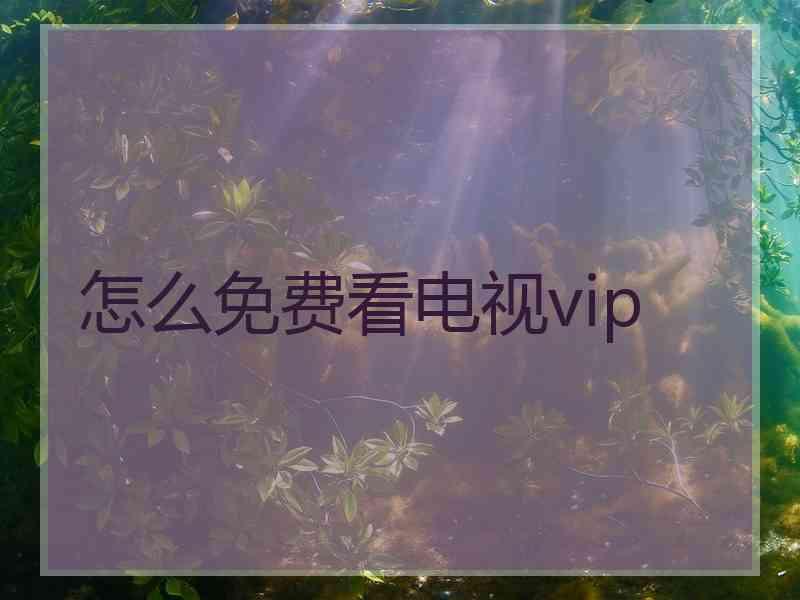 怎么免费看电视vip