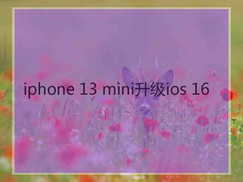 iphone 13 mini升级ios 16