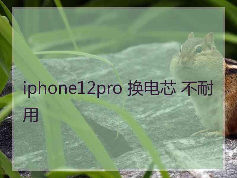 iphone12pro 换电芯 不耐用