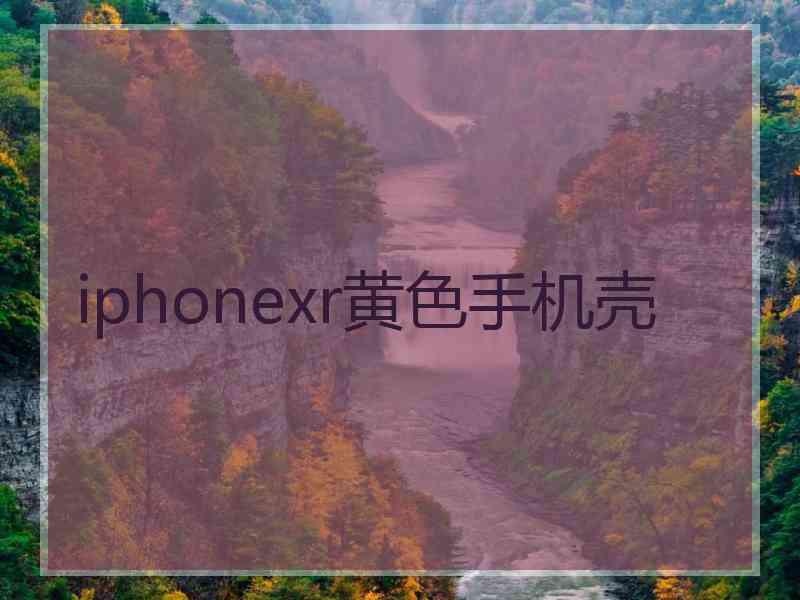 iphonexr黄色手机壳