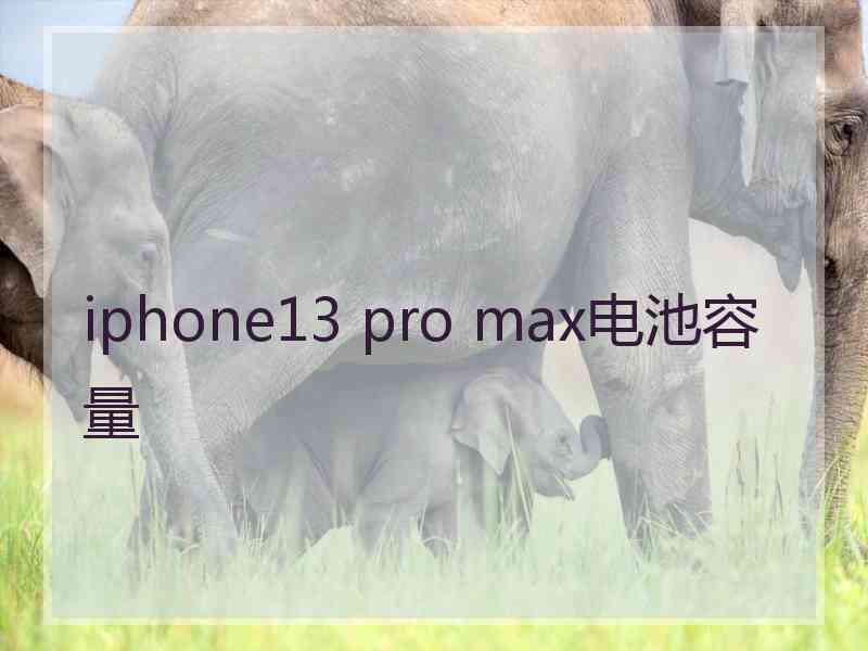 iphone13 pro max电池容量