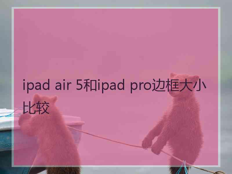 ipad air 5和ipad pro边框大小比较