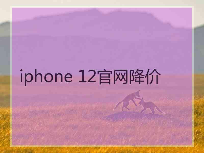 iphone 12官网降价