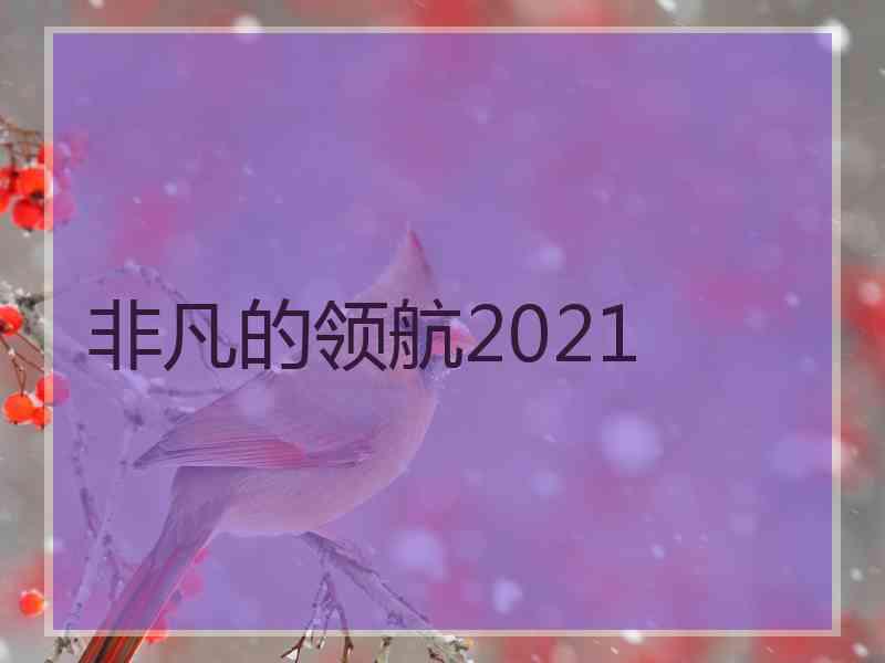 非凡的领航2021