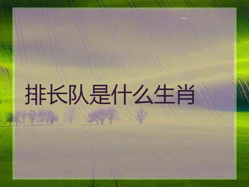 排长队是什么生肖