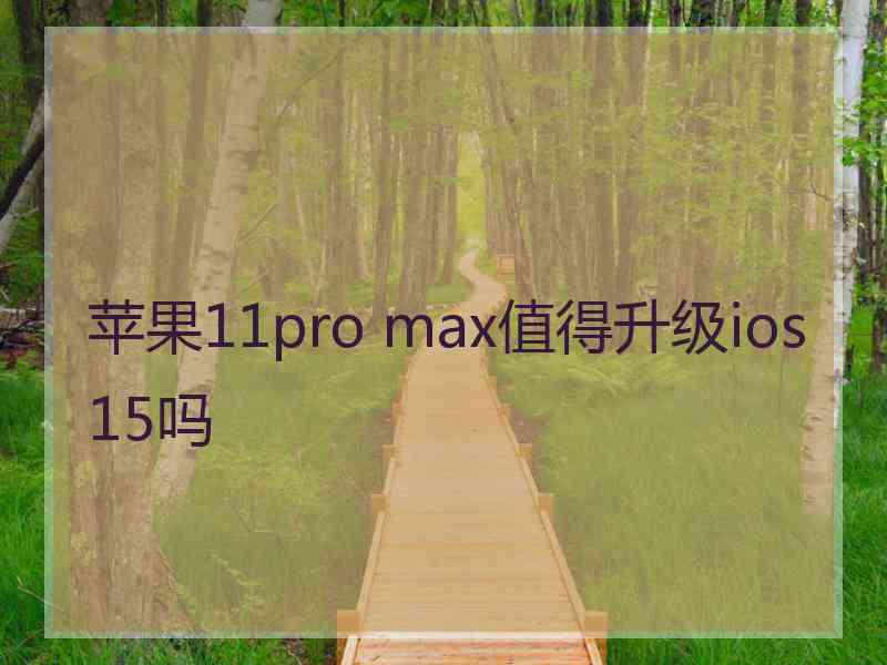 苹果11pro max值得升级ios15吗