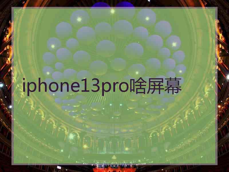 iphone13pro啥屏幕