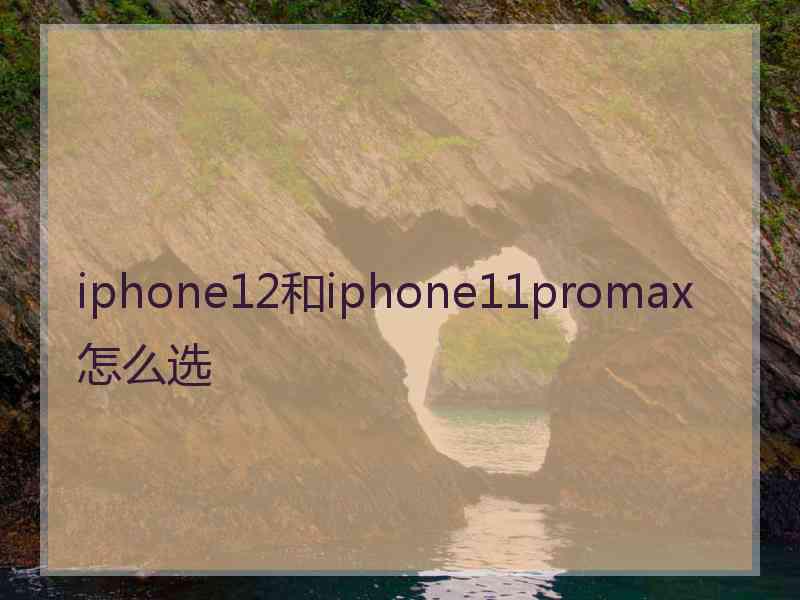 iphone12和iphone11promax怎么选