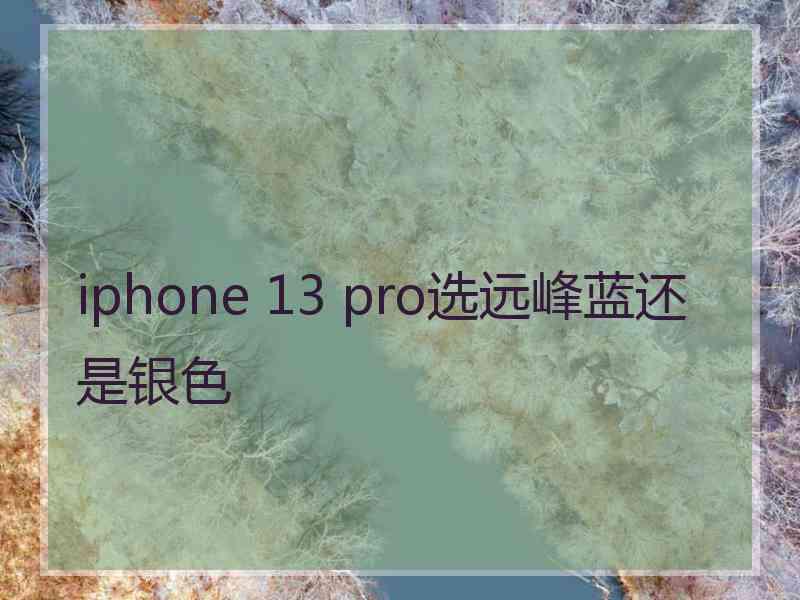 iphone 13 pro选远峰蓝还是银色