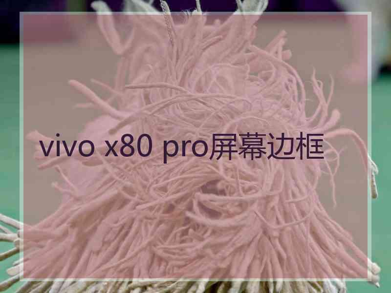 vivo x80 pro屏幕边框