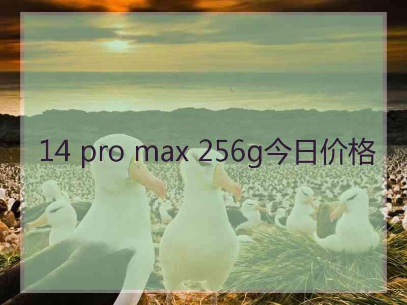 14 pro max 256g今日价格