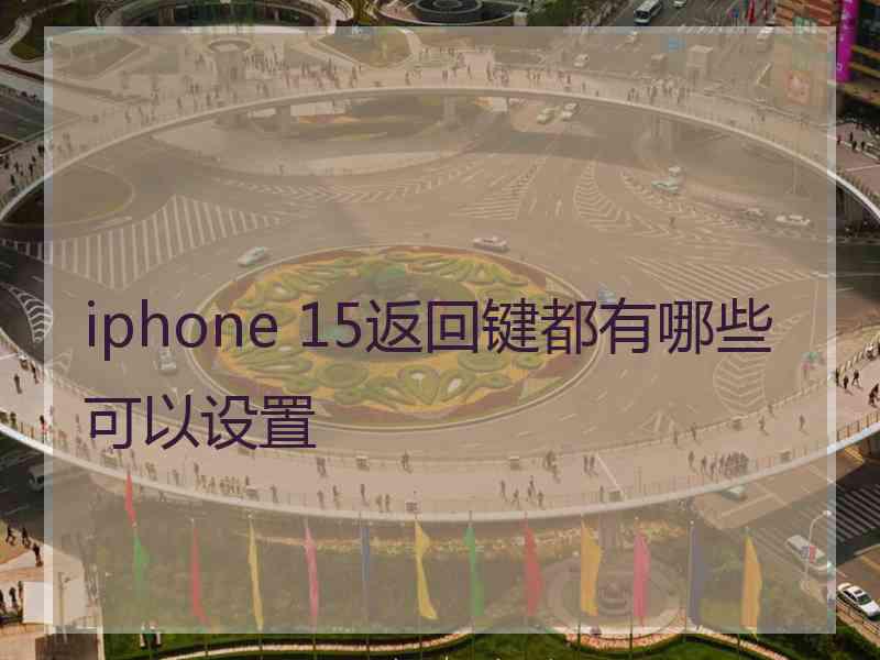 iphone 15返回键都有哪些可以设置