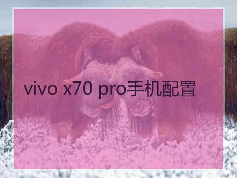 vivo x70 pro手机配置