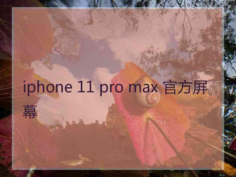 iphone 11 pro max 官方屏幕