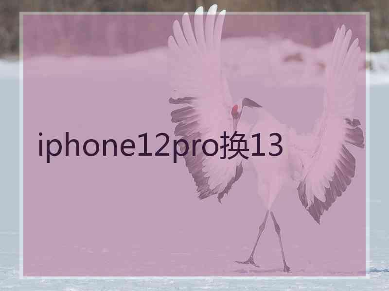 iphone12pro换13