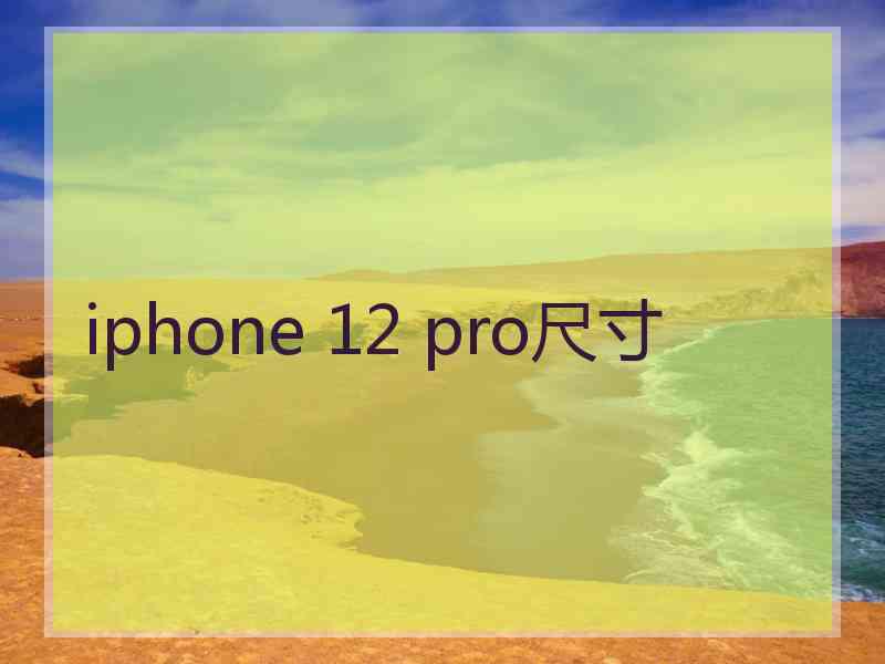 iphone 12 pro尺寸