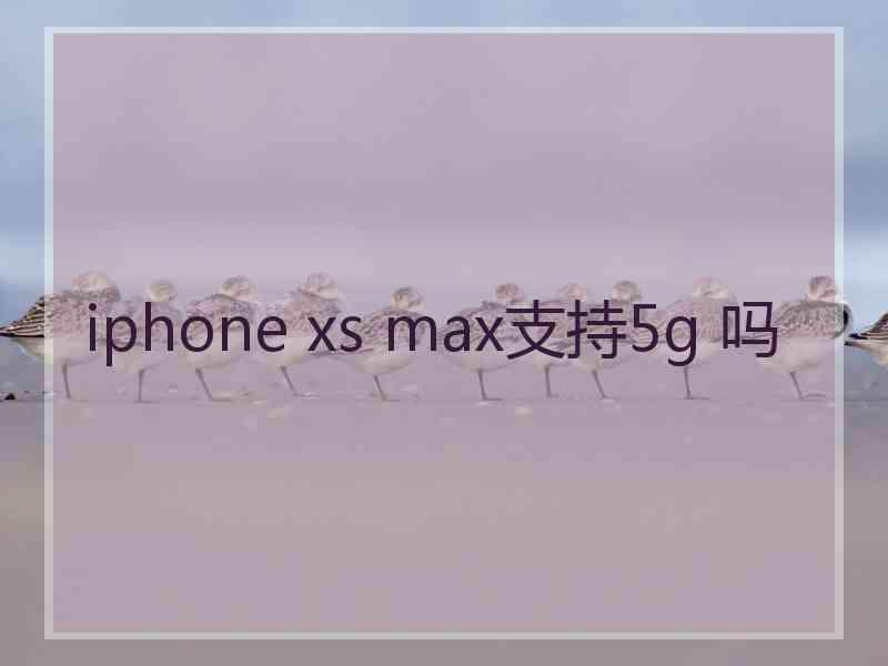 iphone xs max支持5g 吗