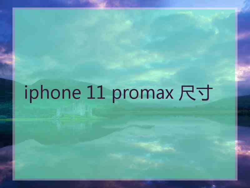 iphone 11 promax 尺寸