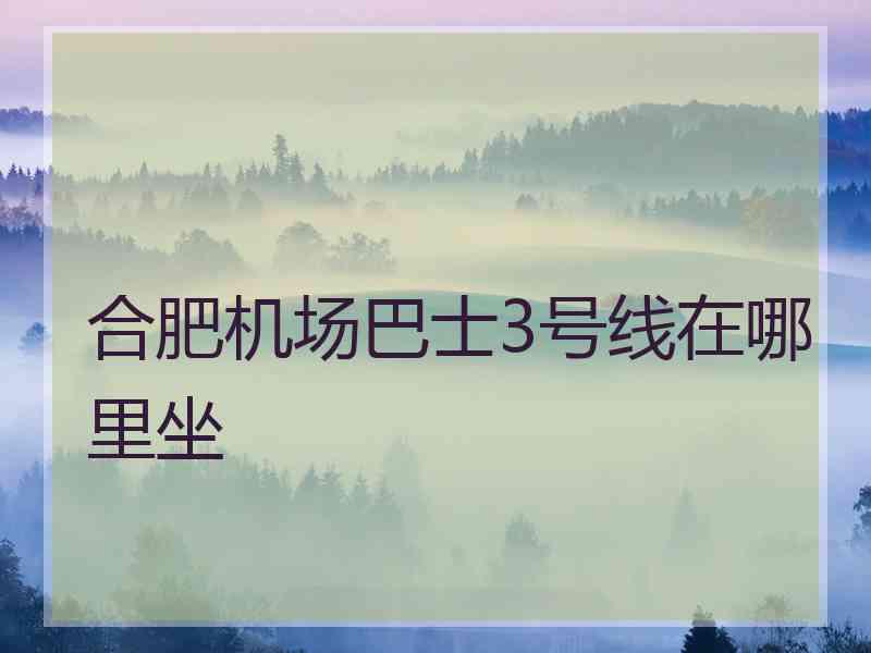 合肥机场巴士3号线在哪里坐