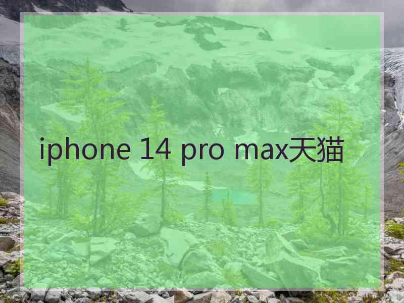 iphone 14 pro max天猫